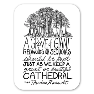 Z serii "Drzewa" Ricka, zainspirowana cytatem Theodore Roosevelt; "A grove of giant Redwoods or Sequoias should be kept just as we keep a great or beautiful cathedral." It encourages us to care for nature as we would any sacred place.